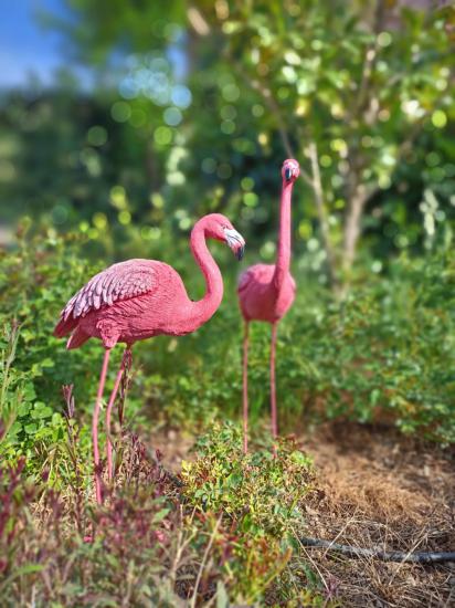 Flamingo İkili Set